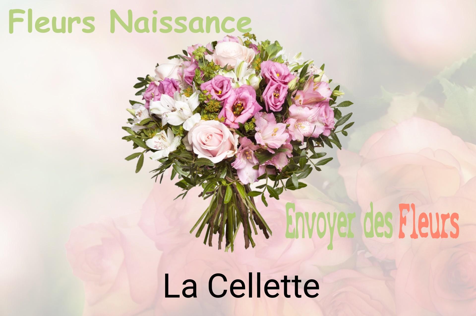 Bouquet de fleurs de naissance livré à La Cellette
